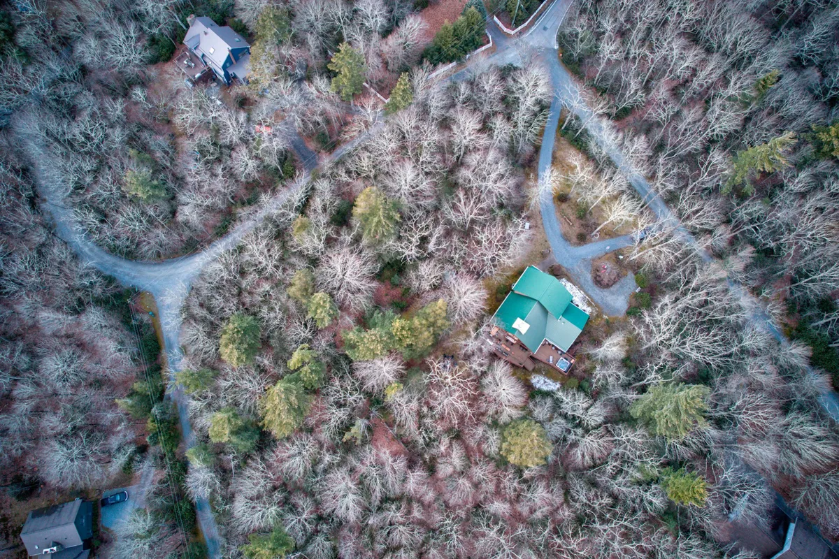 A wide view of the house with its distinctive green roof, surrounded by mature trees and a winding road leading into the woods. The tranquil environment emphasizes privacy and opportunities for outdoor exploration.